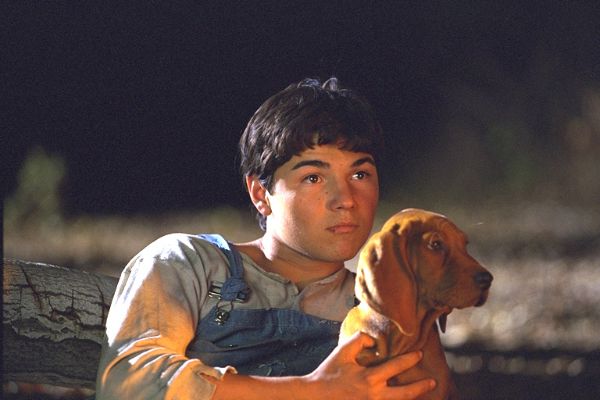 Where The Red Fern Grows 2003 Movie Where the Red Fern Grows (2003) - Lyman D. Dayton, Sam Pillsbury | Cast